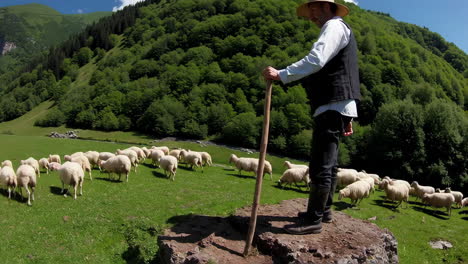 shepherd with sheep in the mountains