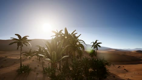 Dunas-De-Erg-Chebbi-En-El-Desierto-Del-Sahara