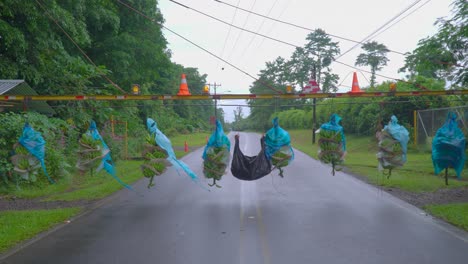 an automated conveyor for the fast transportation of banana baskets from the plantation to the processing plant, moving over a road