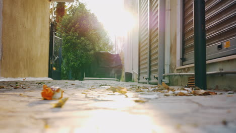 Dry-autumn-leaves-dancing-in-the-wind