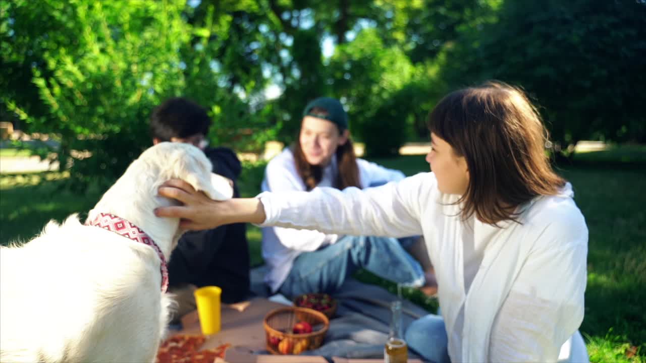 친구 들 이 개 와 함께 공원 에서 피크닉 을 즐기고 있다