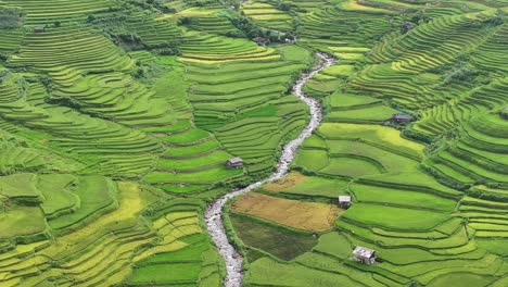 vista aérea de las terrazas de arroz en mu cang chai, vietnam