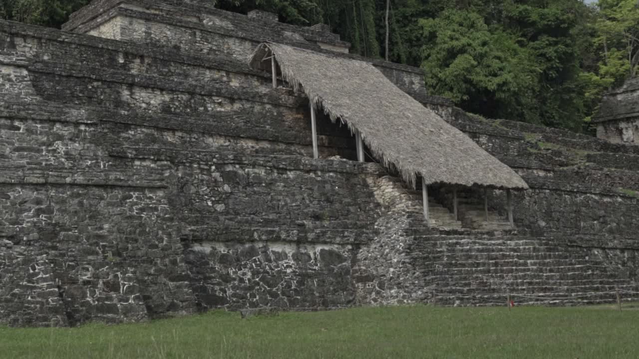Stone Mayan temple structure at the archaeological site of Palenque, showing a steep staircase partially covered by a protective thatched roof, surrounded by tropical forest vegetation