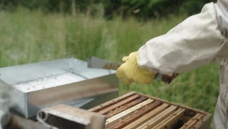 Apicultor-Calma-A-Las-Abejas-Con-Un-Fumador-De-Abejas-Antes-De-Examinar-Las-Abejas-En-Una-Colmena