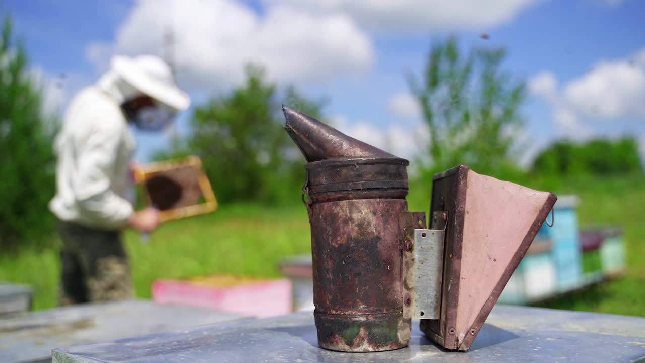 Chimney with smoke on hive. Bee smoker on the blur background of a beekeeper working on apiary. Apiculture concept.