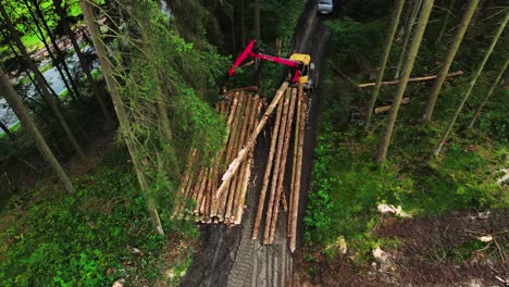 unloading wood cargo from truck to ground in forest