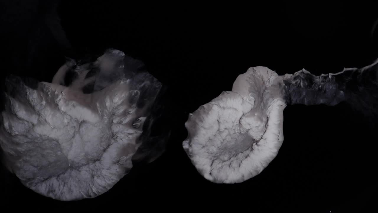 논쟁 후 끓어오르는 두 개의 뇌