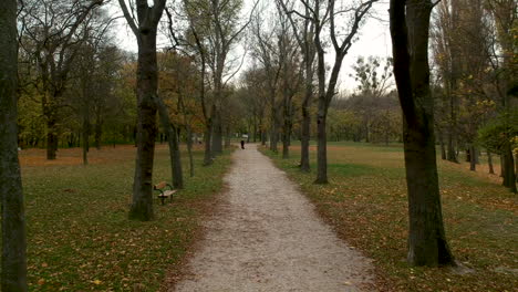 aerial shot of path between autumn trees in prater, vienna, austria, person walking in the distance