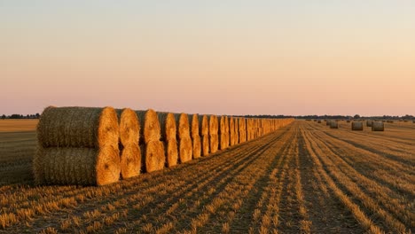 golden bales of hay line a serene agricultural landscape at sunset, showcasing the beauty of rural life and the fruits of harvesting season