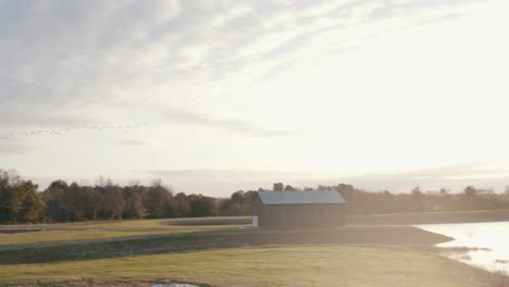 geese-flying-past-old-barn