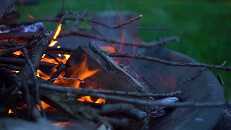 close up of fire in slow motion