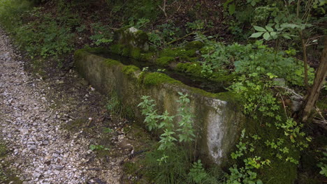 Depósito-De-Agua-De-Hormigón-Cubierto-De-Musgo---Toma-De-Cardán