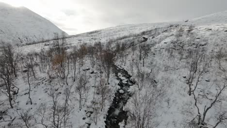 FPV-Drohne-Fliegt-über-Einem-Fluss,-Der-Durch-Einen-Kleinen-Wald-In-Einer-Verschneiten-Landschaft-Geht