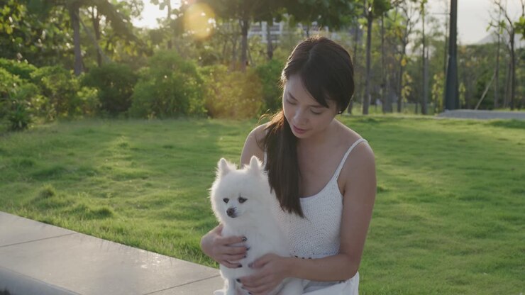 Pomeranian dog and asian woman outdoor