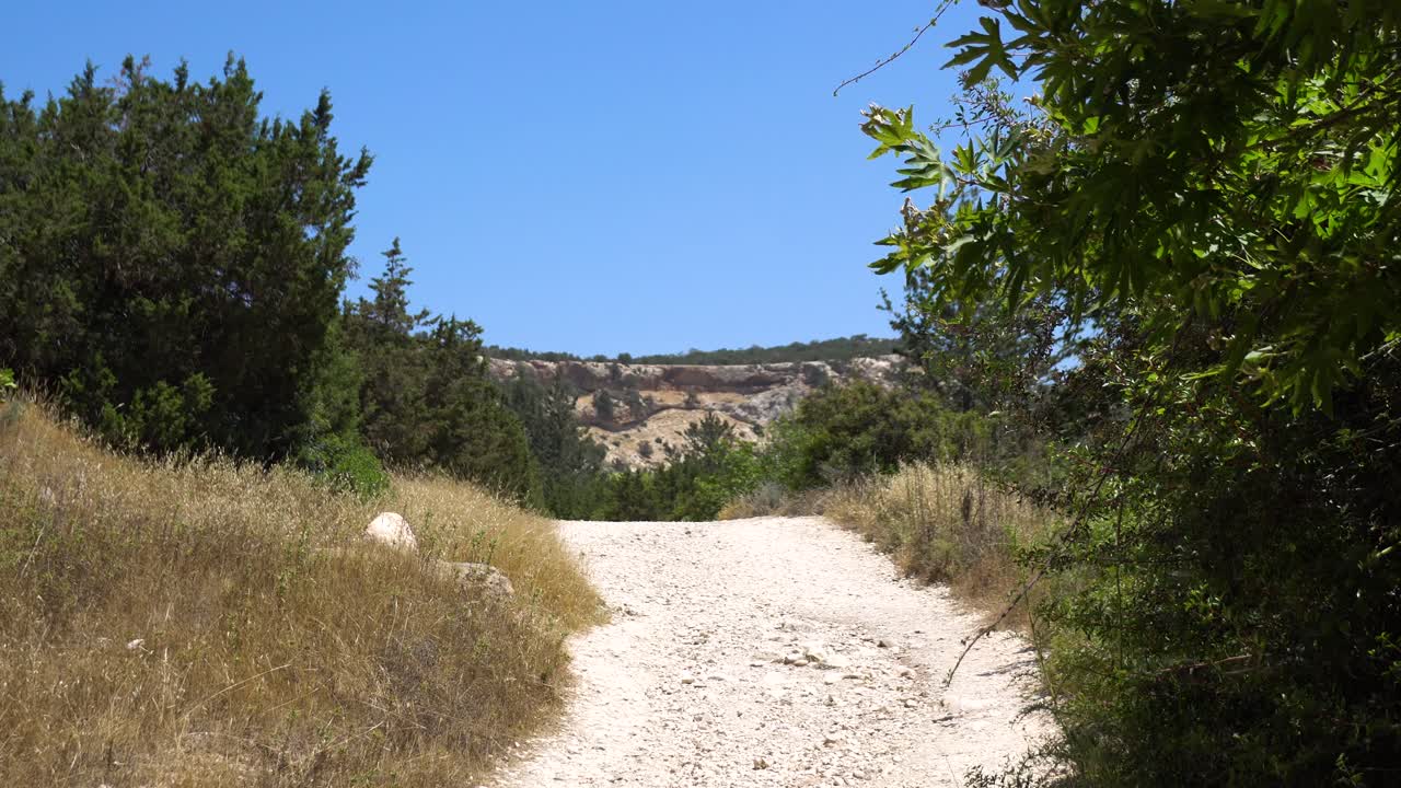 경치 좋은 산길