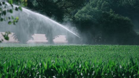 watering a wheat field in summer, in the french countryside, dordogne