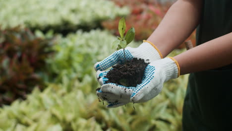 jardinero que trabaja en interiores