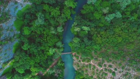 Aerial-top-down-view-of-blue-Panega-river-with-bridge-over-it-surrounded-by-green-trees-near-Lukovit,-Bulgaria