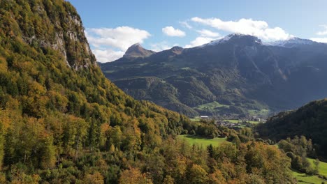 Pan in shot of alpine forest in Kl&ouml;ntalersee Glarus Switzerland with trees and mountain peaks visible in the distance