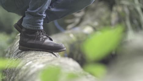 man's feet in black leather shoes stepping on a tree log lying in the forest