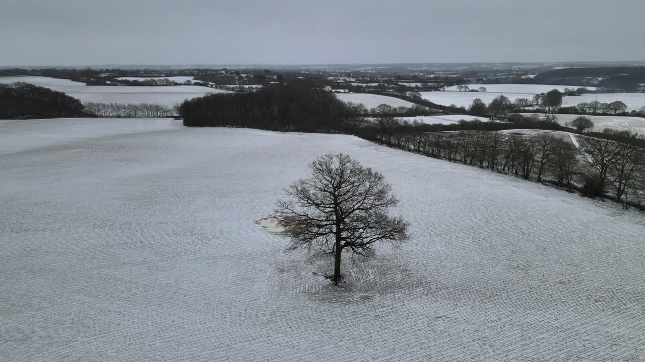 Englantilainen maaseutu talvisilla lumipeitteisillä pelloilla, ilmakuva, kevyt lumi pyörteilee ohi, 4k.