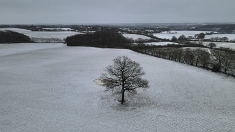 English-countryside-in-winter-snow-covered-fields-aerial-light-snow-swirling-past-4k