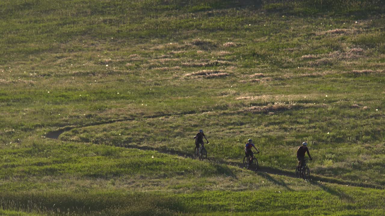 트레일을 달리는 산악 자전거 타는 사람들