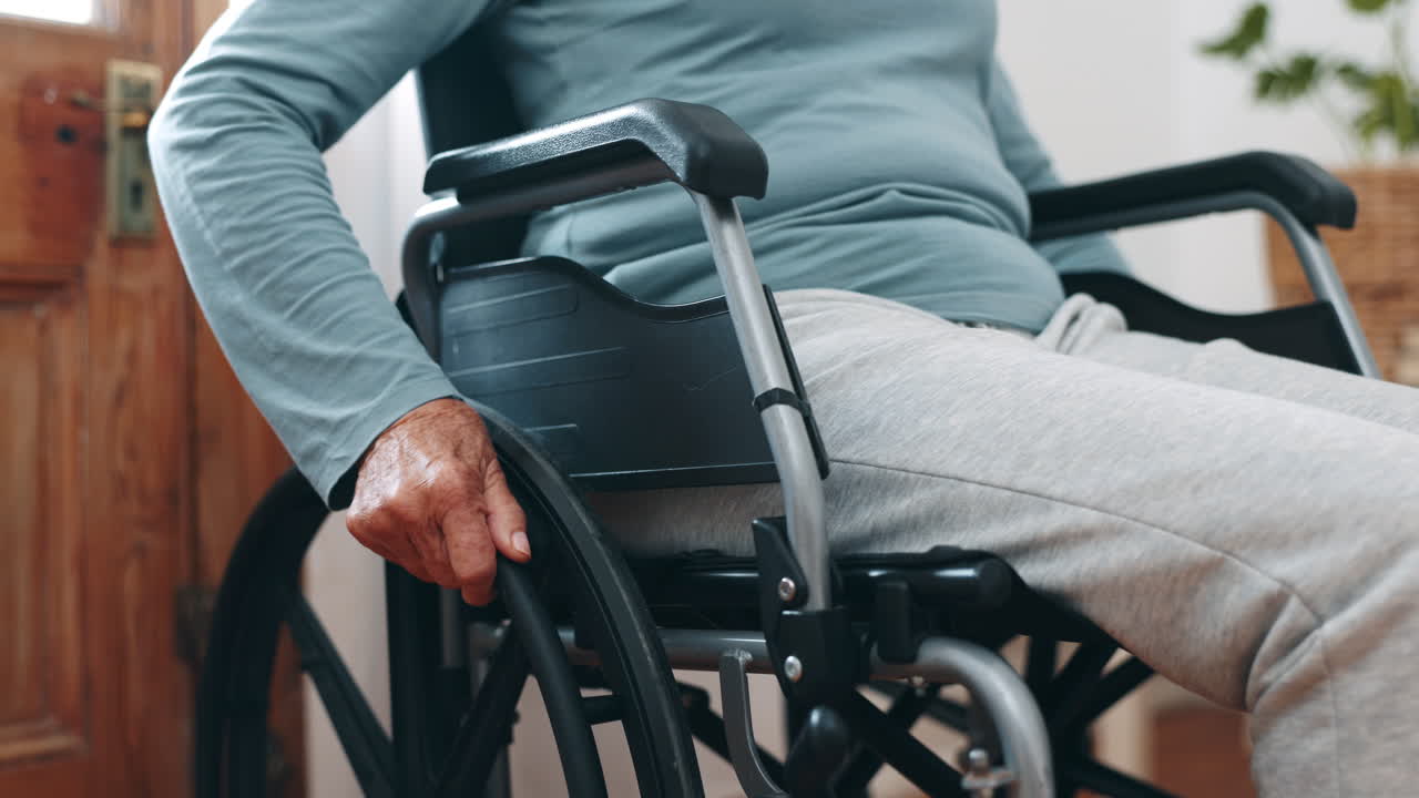 사람, 손 및 체어 이동을 위한 집