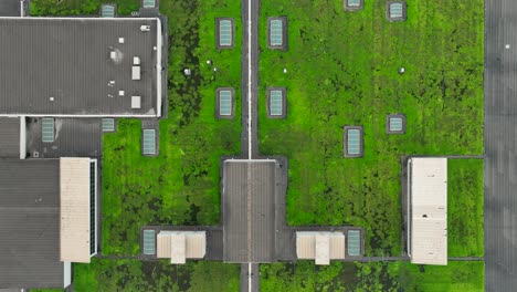 green roof in usa building