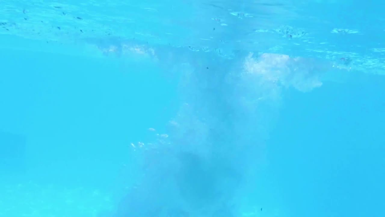 수영장에서 다이빙하는 매력적인 남자