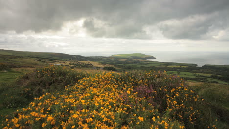 Impresionante-Lapso-De-Tiempo-En-Movimiento-De-Los-Páramos-Y-La-Costa-De-Pembrokeshire