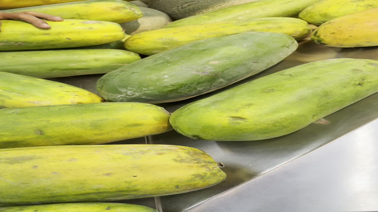 Hand Sorting Fresh Papayas on a Metal Surface