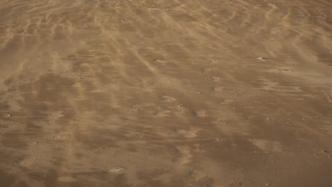 Der-Wind-Wirbelt-Sand-Auf,-Der-über-Einen-Sandstrand-Rast