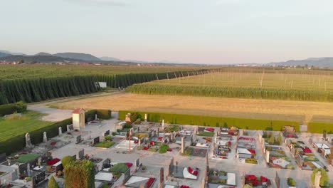 Forward-shot-with-graveyard-in-forefront-and-iconic-cops-fields-in-background