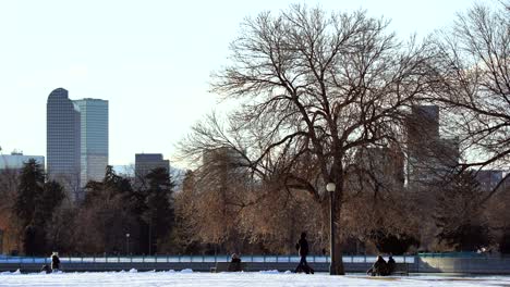 people walking in a park against a background of denver skyline