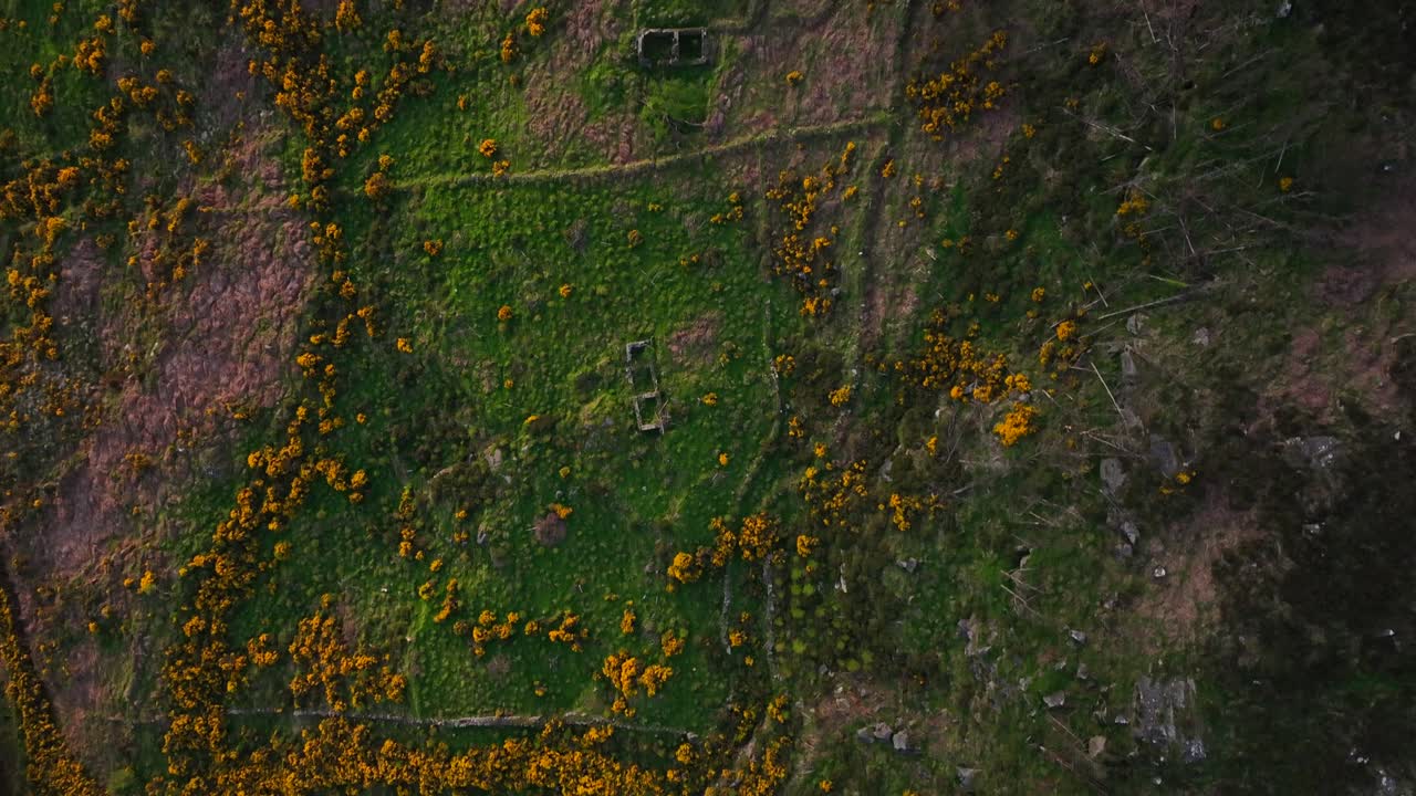 슬리브 갈리온, 아마그 카운티, 북아일랜드, 2023년 5월