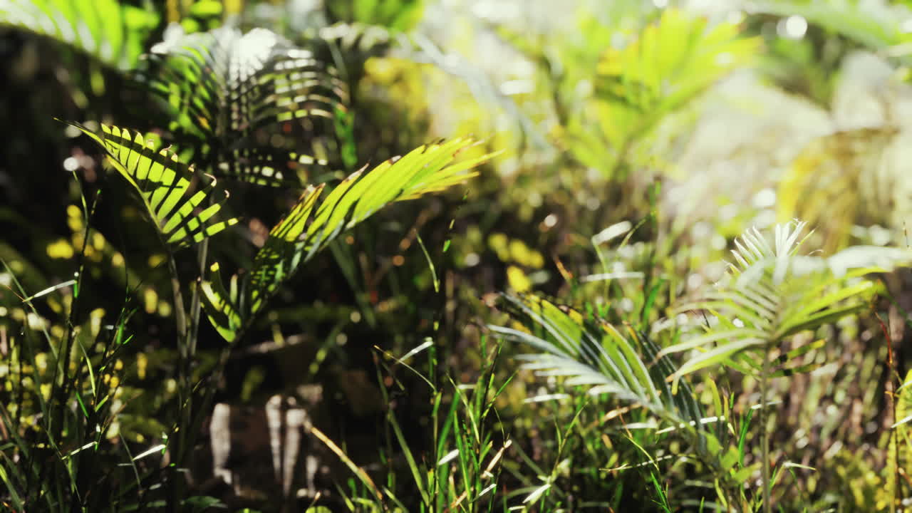 primo piano di una pianta nella giungla tropicale