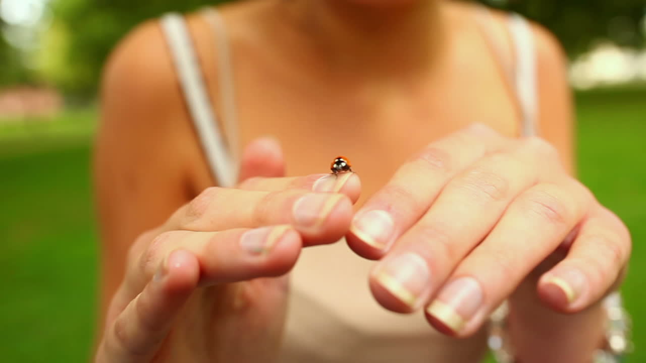 pequeña mariposa arrastrándose sobre las manos de las niñas