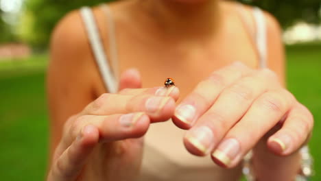 Pequeña-Mariquita-Arrastrándose-Sobre-Las-Manos-De-Las-Niñas