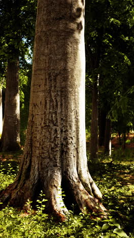 majestic tree in a lush forest