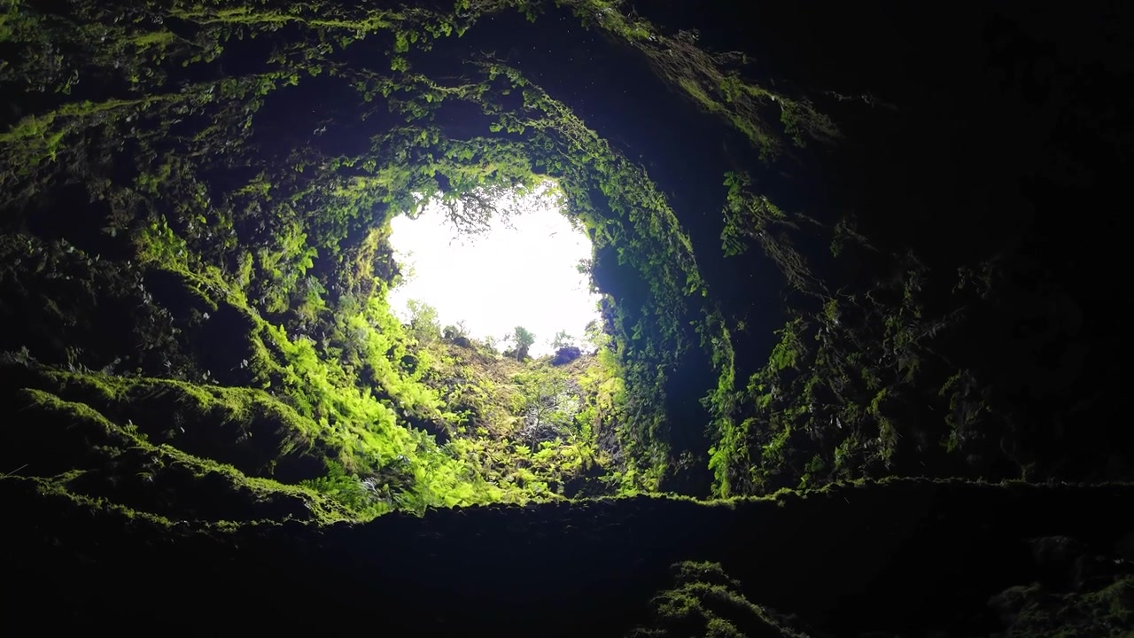 Vista cinematográfica ascendente de musgo verde exuberante cercando a abertura da caverna vulcânica no Algar do Carvão, Açores, Portugal