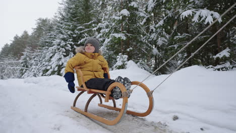 joyful little boy is riding sledge in snowy forest in wintertime parent is pulling sleigh