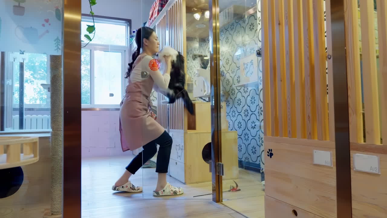 Cute cat lying in master girl a pet salon while a professional groomer brushes its fur, creating a calm and bonding experience. Perfect for veterinary clinic or grooming salon