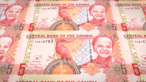 billetes de cinco dalasis gambianos de gambia rodando, dinero en efectivo, bucle