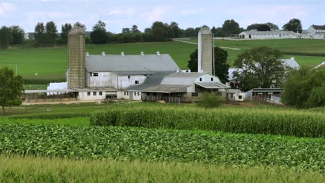 aerial wide shot showing growing farm plantation fields in front of large farmstead with silo