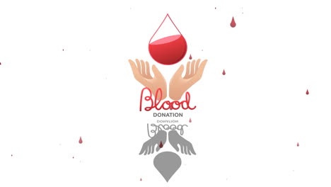 animation of blood donation text with hands and droplet logo, shadow and drips on white background