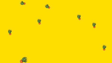 Animation-Der-Illustration-Von-Zimmerpflanzen-In-Orangefarbenen-Töpfen,-Die-Auf-Gelben-Hintergrund-Fallen