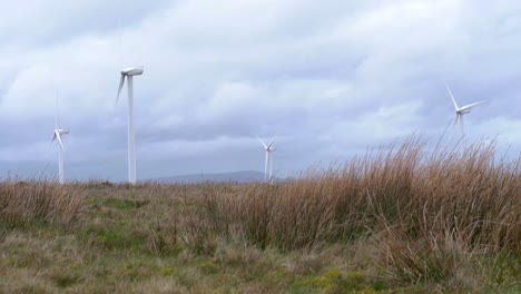 wind turbines on english moorland on a windy day