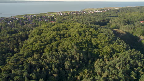 sobrevuelo aéreo hermoso bosque idílico cerca de krynica morska