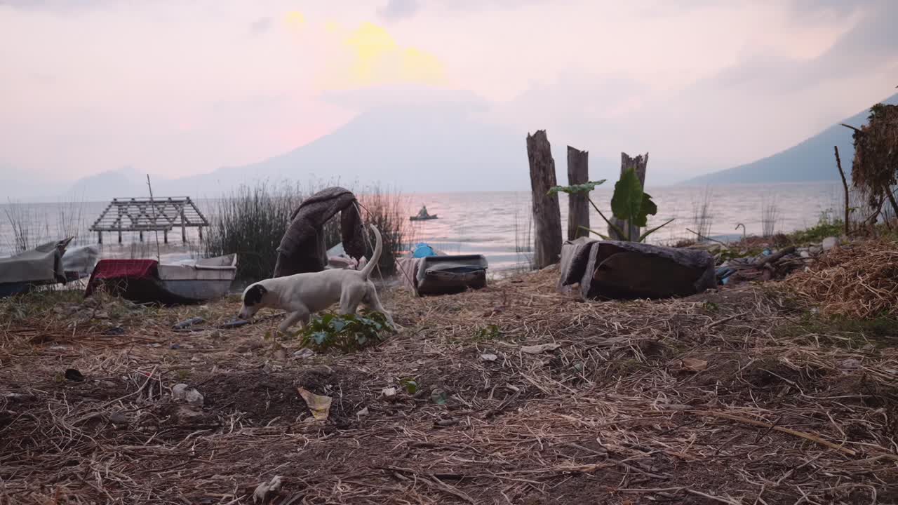 해가 뜨는 하늘과 물 위에 작은 배를 타고 있는 사람과 함께 아란 호수 연안에 있는 배와 개